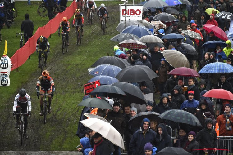 Veldrit van komende woensdag in Waregem pakt uit met gloednieuw concept: 'Hold your Horses'