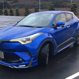 C-HR ZYX10