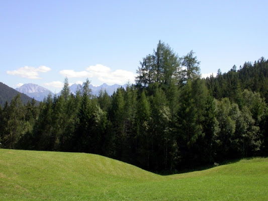 Il verde di seefeld di ritabat