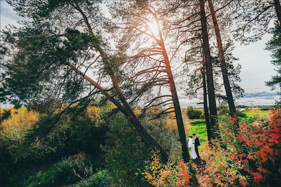 Fotógrafo de bodas Kristina Tararina (ta-kris). Foto del 5 de septiembre 2015