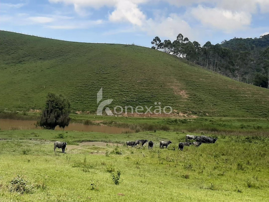 Fazendas à venda Vila Rica