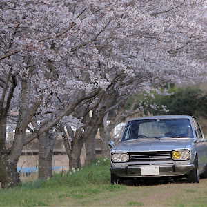 スカイライン