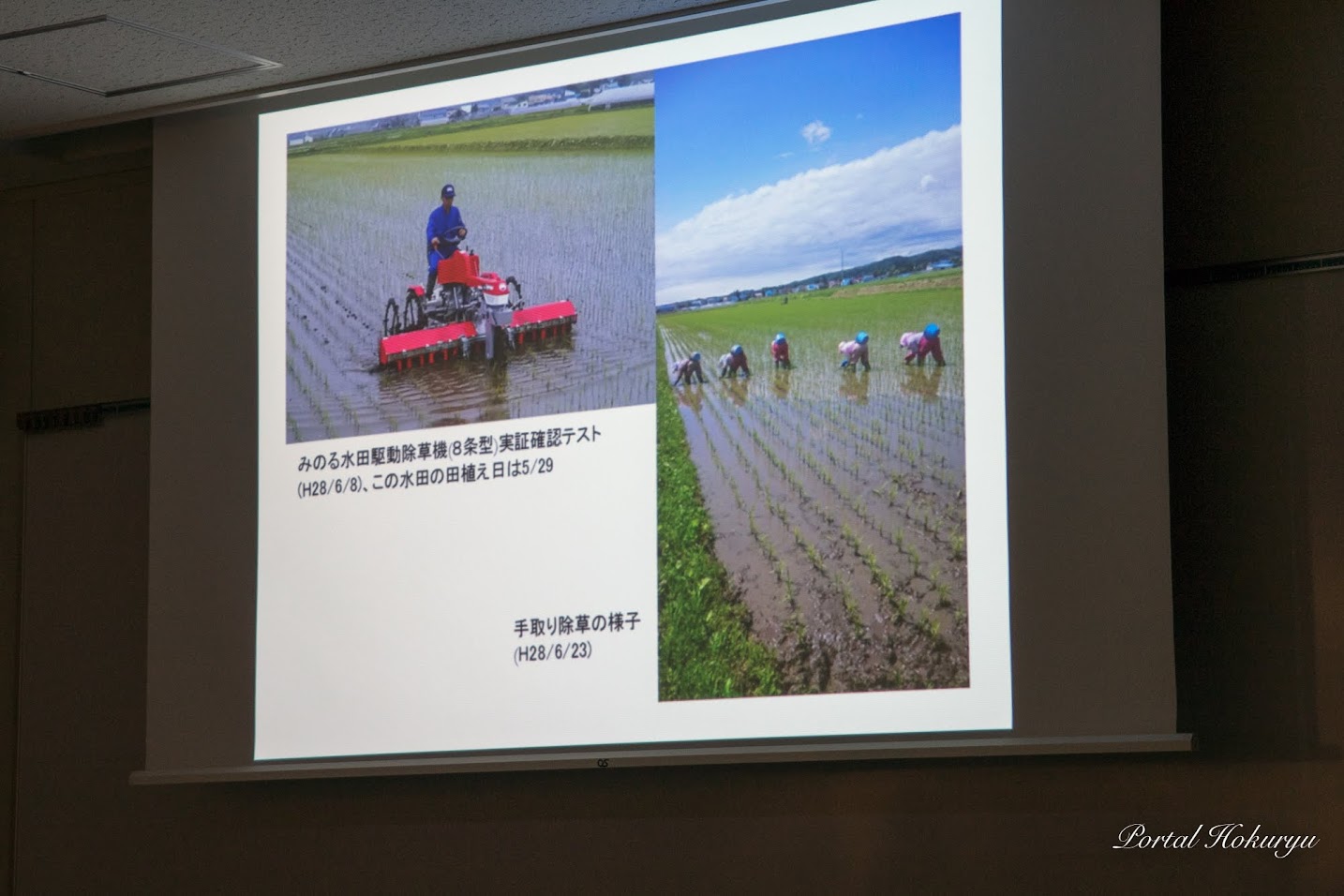 みのる水田駆動除草機 ＆ 手取り除草