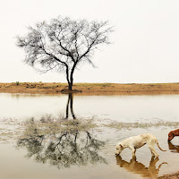 Un sorso d'acqua.... di 