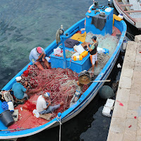 Scorcio di vita estiva di 