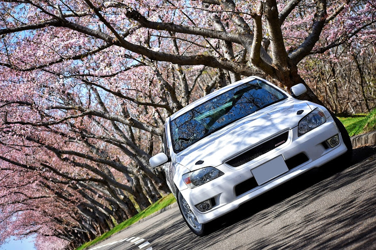アルテッツァの桜と愛車・戸田墓地記念公園・厚田・ドライブ・良い天気に関するカスタム事例の投稿画像2枚目