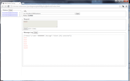 WebSocket Test Client