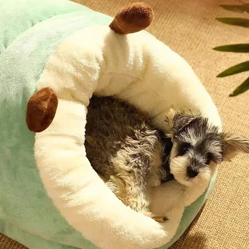 Warm Dog Kennel Bed Cute Slippers Shaped Small Cat Dog Nest Deep Sleeping Bag Puppy Cave House Winter Thick Pet Sleep Pl