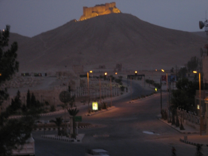 Palmyra di -----