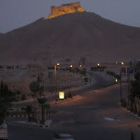 Palmyra di 