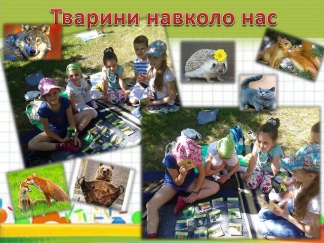 04.06.0 тварини навколо нас.jpg