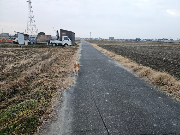 クオンの先週一週間もありがとうございました🙇・みやびの一週間だよ☝️・クラワゴさん登場😆・ジーノさん修理🔧・また新しい一週間もどうぞ宜しくお願いします🙇に関するカスタム事例の投稿画像15枚目