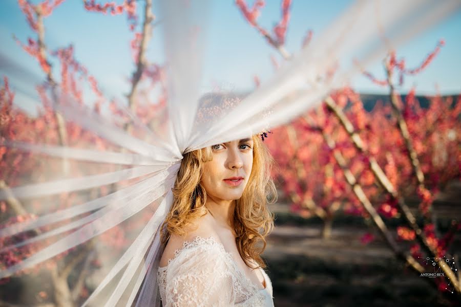 Wedding photographer Antonio Ríos Pellicer (antoniorios). Photo of 22 March 2017