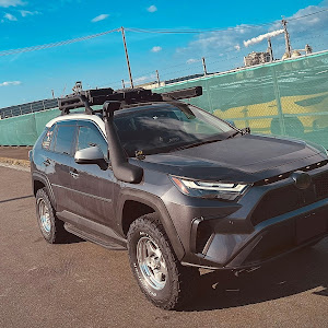 RAV4 MXAA54