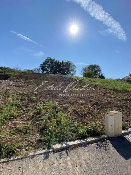 Vente terrain  743 m² à Charnècles (38140), 120 000 €