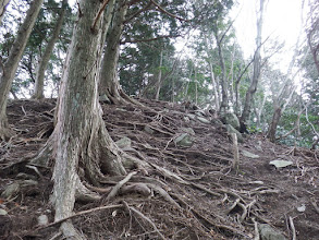 鞍部の下りは慎重に（振り向く）