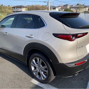 CX-30 DMEP