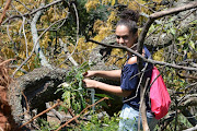 Ashton Welcome plant taxonomist at the South African National Botanical Institute.