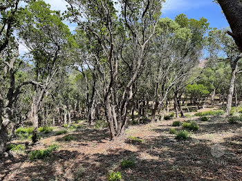 terrain à Saint-raphael (83)