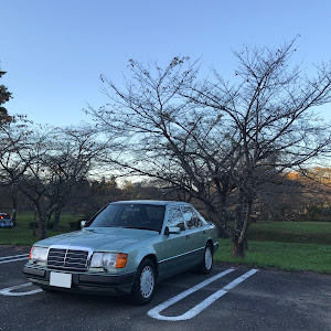 ミディアムクラス W124