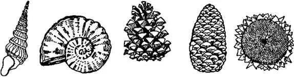 D:\0 wd yedek\acr yedek\1 film indirme\encyclopedia_symbols_roshal\encylopedia_files\000573.jpg