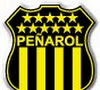 Les supporters du Penarol fabriquent le plus grand drapeau du monde