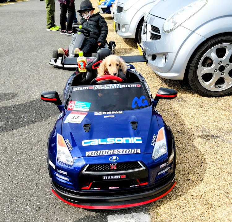 R2のKidstance・Kidsstance・さくらモーニングクルーズ・権限堂・ダックスフンドに関するカスタム事例の投稿画像47枚目