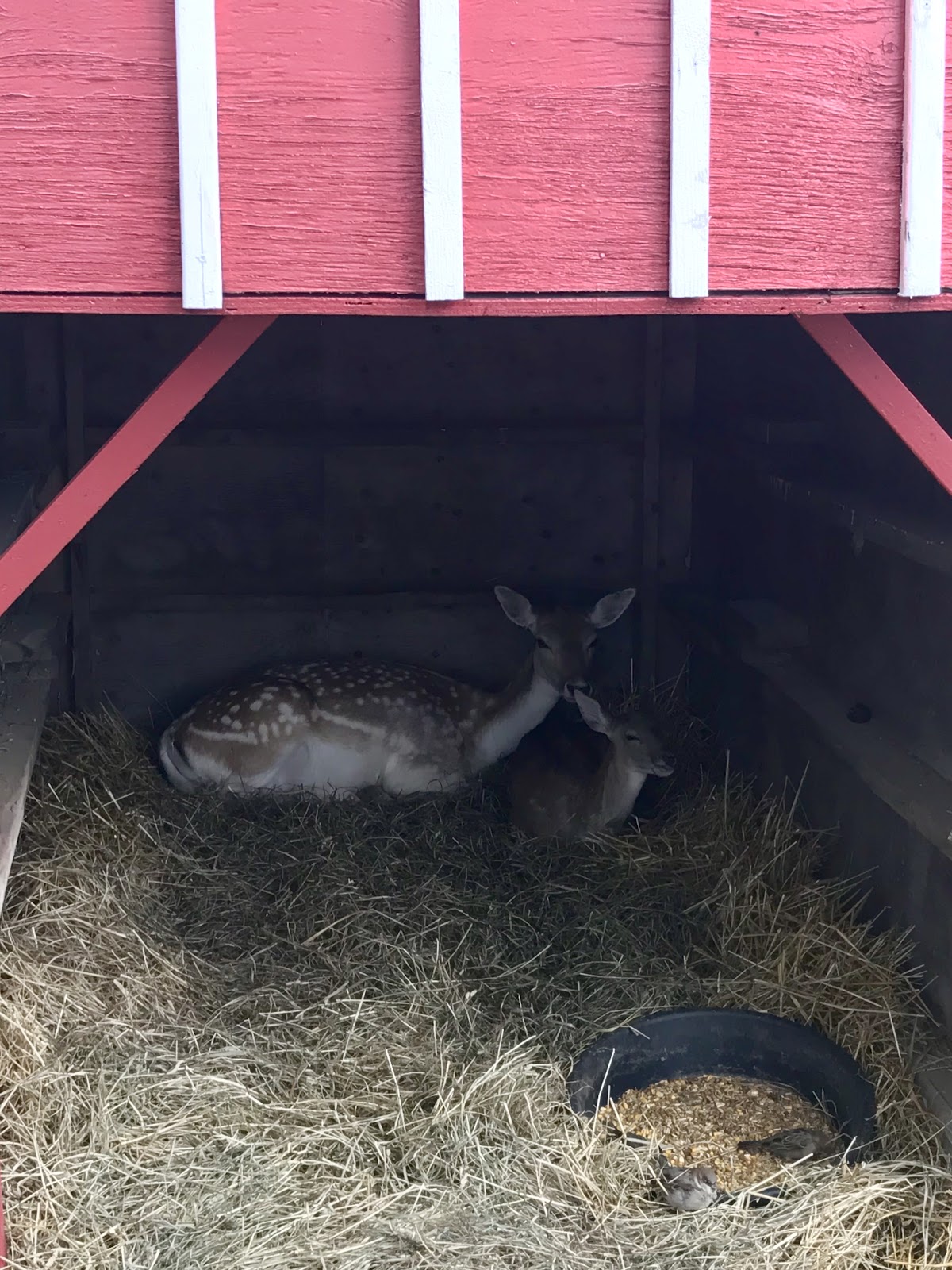 farms in southern ontario