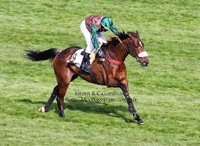 Prix du Président de la République 2015 (St., Hand., Auteuil) 19-04 : Saint Pistol IgjltL3XMEYhX1NpXfg2JePYJRmqZWFujlNf3MlHWN9z=w283-h207-p-no