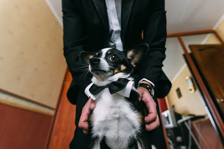 Photographe de mariage Artur Davydov (archerdav). Photo du 27 janvier 2016