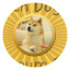 Doge HD Wallpapers Featured Series Hot Topics