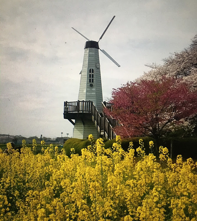 コペンのさくらモーニングクルーズミーティング!楽しんで来ました!最高だね！・幸せは自分自身で見出す物で他人から与えられる物では有りません！最高だね！・貧乏しても心❤️の貧乏人には成りたく無いですね！最高だね！・妬み!僻み!は持たず!心❤️豊かに過ごしましょう!最高だね！・人は人です!自分の納得出来る生き方をしましょう!最高だね！に関するカスタム事例の投稿画像35枚目