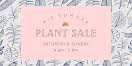 Mid Summer Plant Sale - Twitter Post item