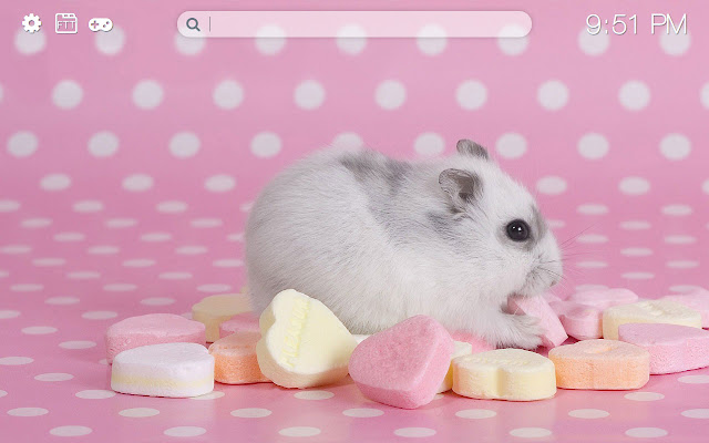 Hamsters HD new free tab theme