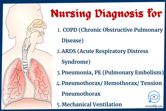 nanada-nursing-diagnosis-respiratory-disorders-nursing-diagnosis-for-copd-diagnosis-for-chronic-obstructive-pulmonary-disease-diagnosis-for-ards-acute-respiratory-distress-syndrome-diagnosis-for-pneumonia-diagnosis-for-pe-diagnosis-for-pulmonary-embolism-diagnosis-for-pneumothorax-diagnosis-for-mechanical-ventilation