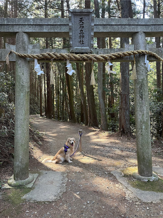 の投稿画像6枚目