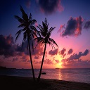 Beach Sunset Chrome extension download