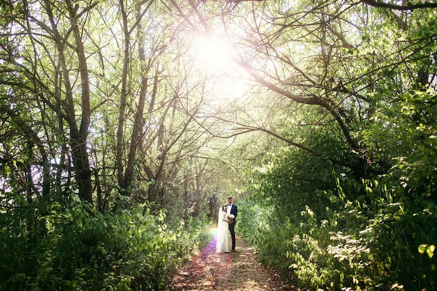 Fotografo di matrimoni Igor Kolos (tomak). Foto del 10 febbraio 2016