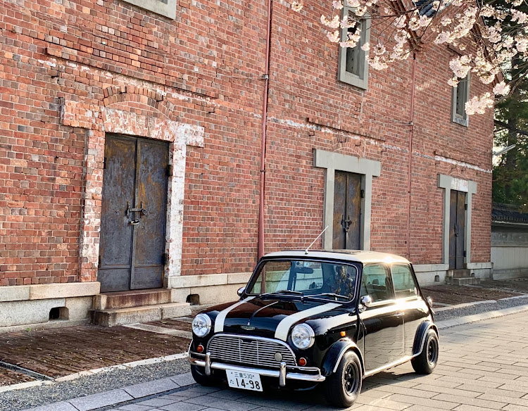 ミニクーパー1.3の目指せPickUpCars・愛車とサクラ🌸・お気に入りの撮影スポット🌸🌸・木漏れ日がイイ感じに👍・野鳥目線🫣に関するカスタム事例の投稿画像2枚目