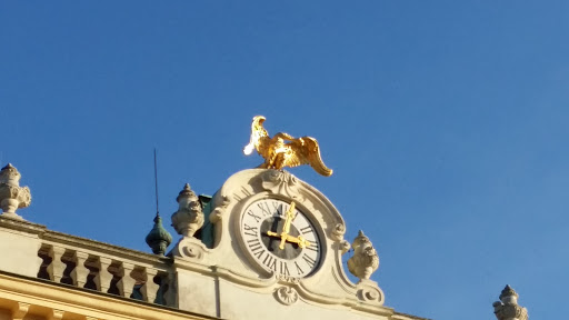 Schoenbrunn Watch