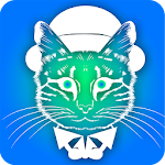 Wang Cats - Wangcat 2016 Apk