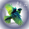 Birds ringtones, birds sound icon