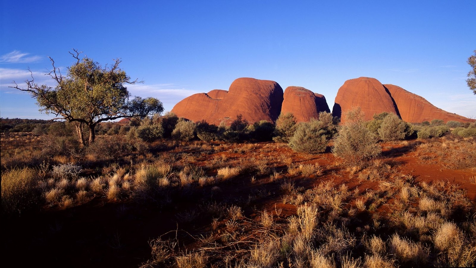 Red, rounded rock formation in the desert