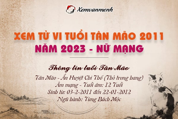 Xem tử vi tuổi Tân Mão nữ mạng năm 2023 