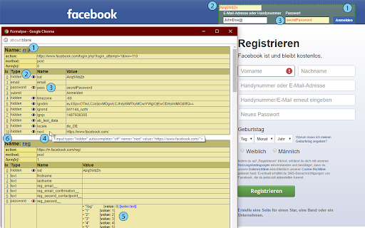 Formalyse: Debug your web form