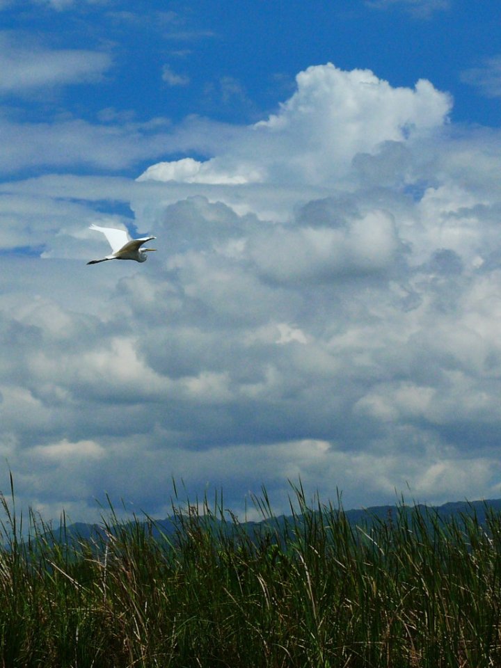 Volo Infinito di fbweb62