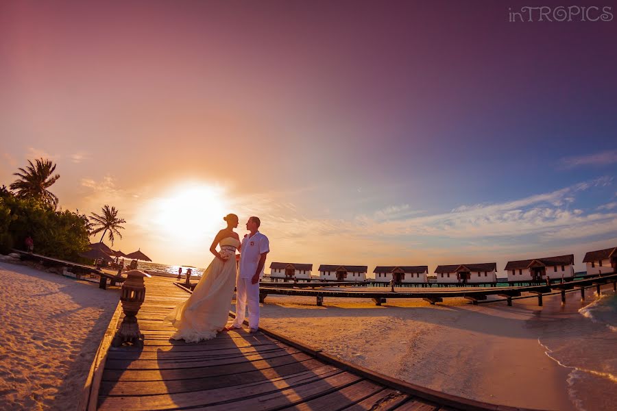 Fotógrafo de bodas Alesya Popova (intropics). Foto del 17 de abril 2015