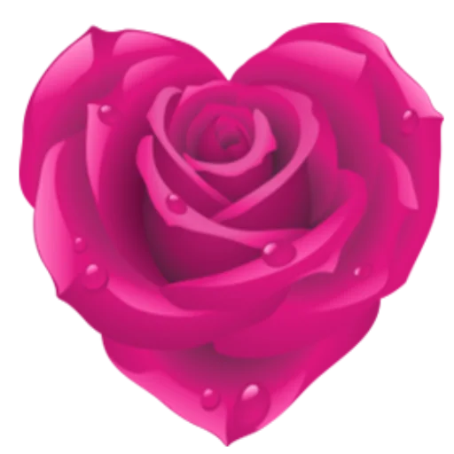 Flowers Stickers for WhatsApp 2020