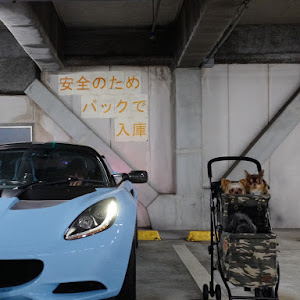 エリーゼ フェイズ3