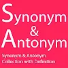 Synonym and Antonym icon